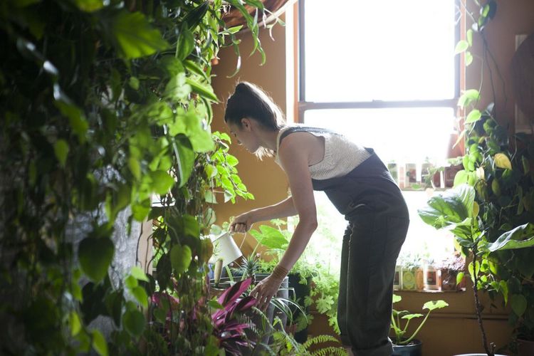 Balcon et jardin : comment sauver ses plantes pendant plusieurs jours à 40 °C | So Busy Girls