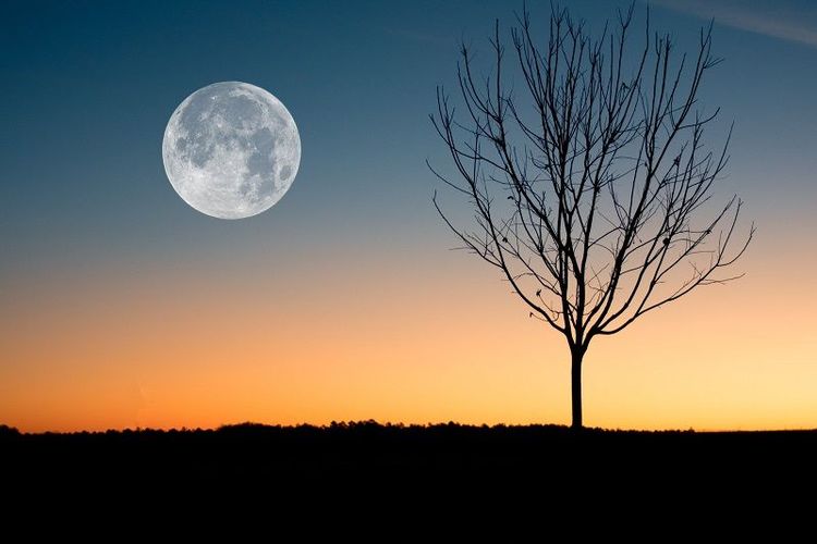 Voici comment vous devriez vous préparer à la Nouvelle Lune du 29 janvier | So Busy Girls