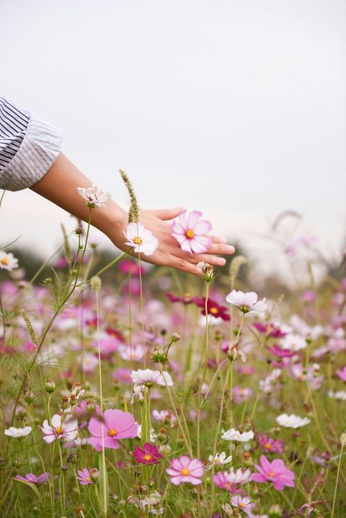 6 conseils efficaces pour avoir des mains toutes douces | So Busy Girls