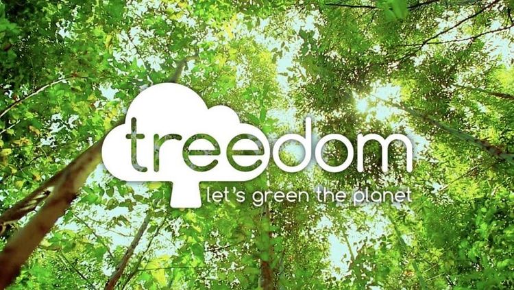 La jolie idée cadeau écologique pour Noël : planter un arbre avec Treedom | So Busy Girls