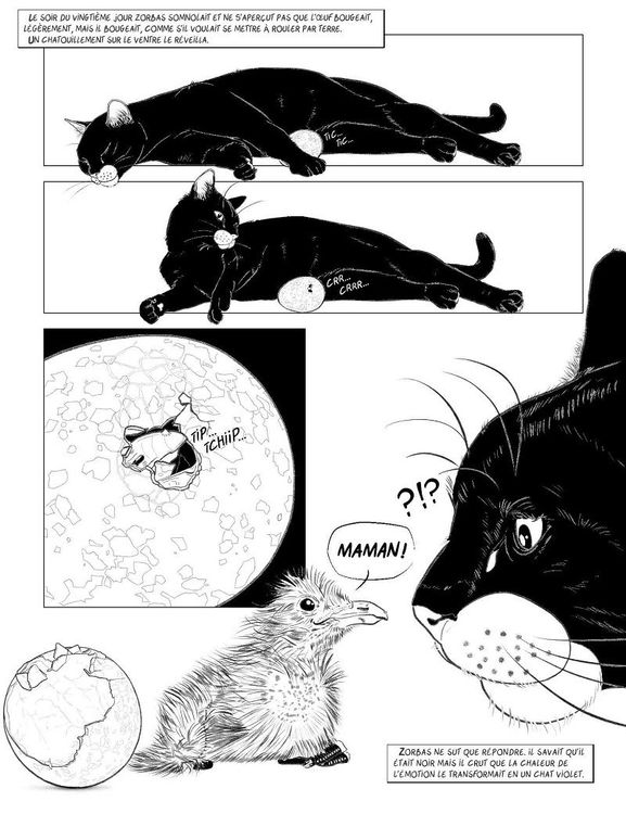 Histoire-d-une-mouette-et-du-chat-qui-lui-apprit-a-voler-3