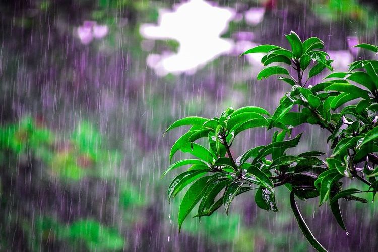 Non, ce n'est pas la pluie qui vous déprime, c'est ça | So Busy Girls