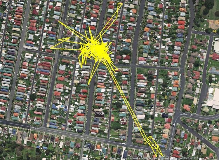 Une puce GPS révèle les aventures que votre chat vit la nuit | So Busy Girls