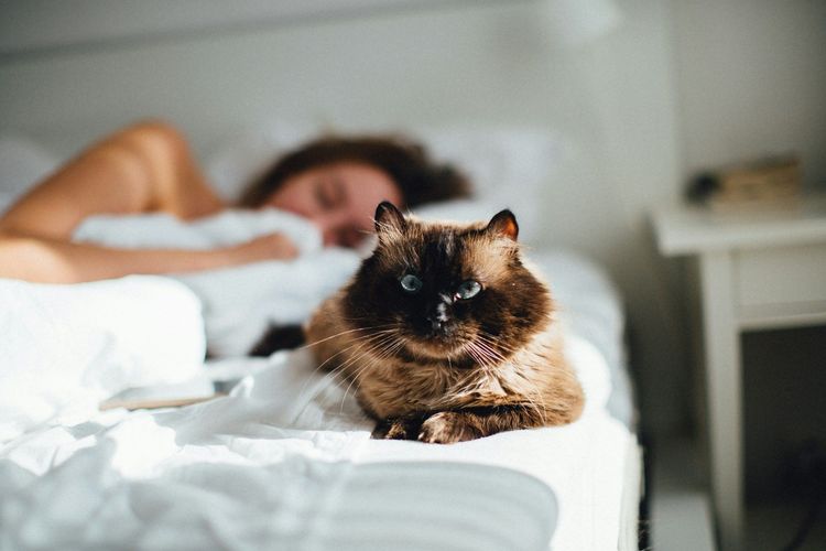 Je sursaute quand je m'endors : pourquoi ?