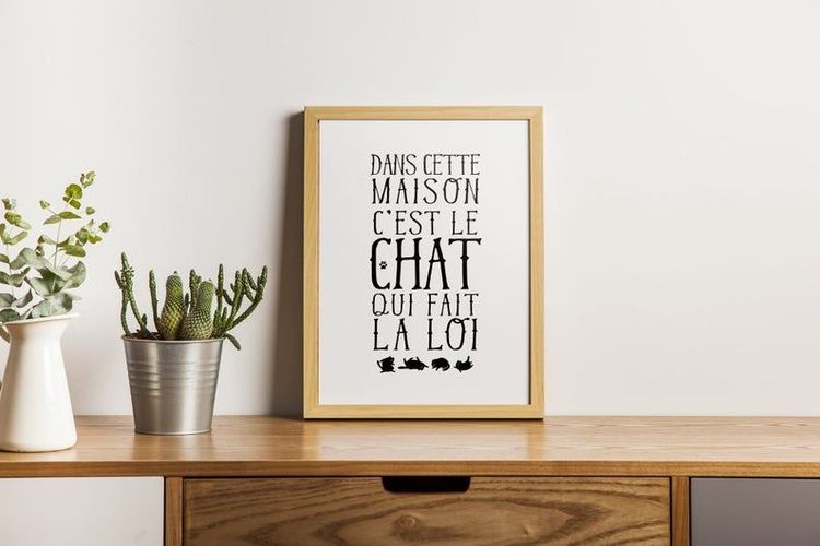affiche-dans-cette-maison-c-est-le-chat-qui-fait-la-loi