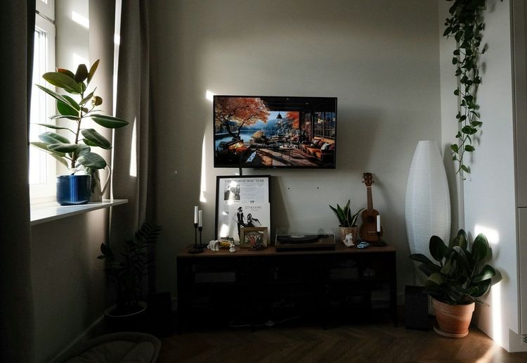 Canicule : 9 gestes simples pour garder un intérieur frais malgré la chaleur