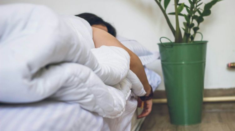 Manger du fromage avant d'aller dormir : les cons&eacute;quences sur le sommeil