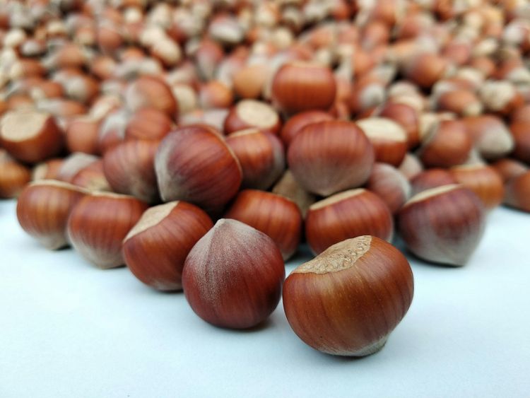 Recette de lait de noisettes maison facile