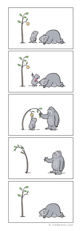 13 bandes dessinées amusantes sur les animaux | So Busy Girls