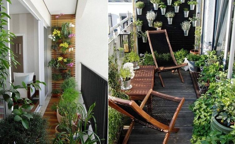 balcon-plantes