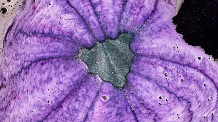 bombe-de-bain-lush-chauve-souris