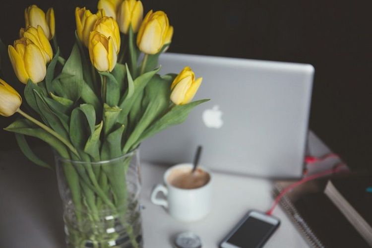 Comment pr&eacute;voir ses projets de printemps?