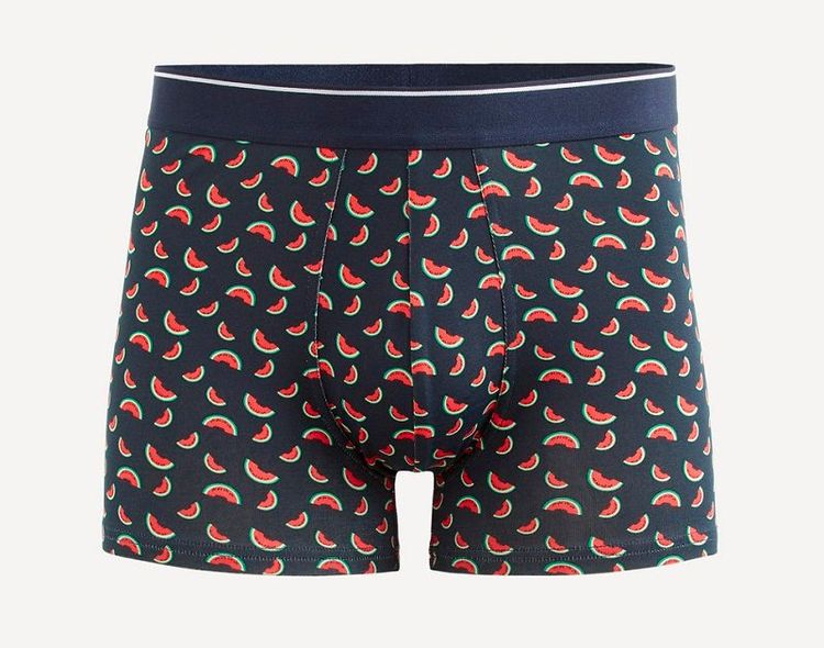 boxer-pasteque