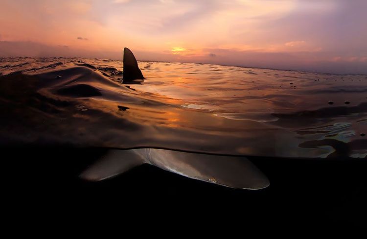 22 sublimes photos prises entre deux mondes | So Busy Girls