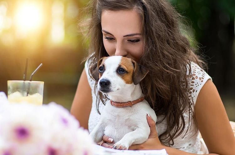 Passer trop de temps sur son smartphone : les cons&eacute;quences sur son chien.