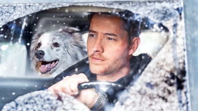 The Noel Diary : pourquoi vous allez aimer regarder ce film de Noël Netflix | So Busy Girls