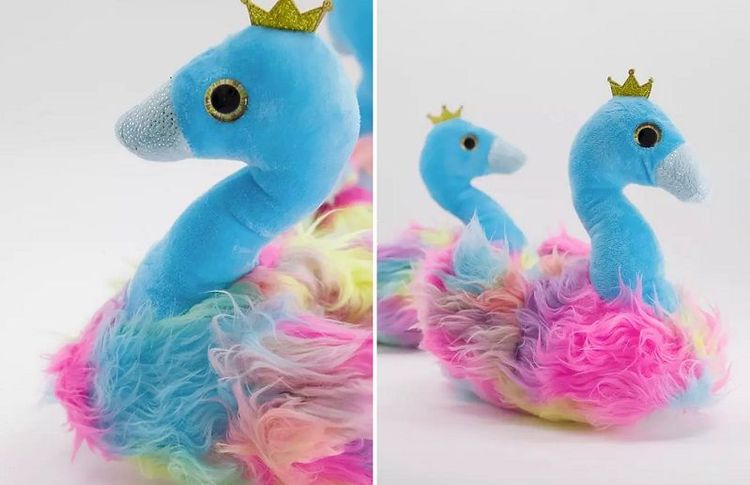 chaussons-cygnes