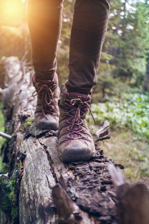 chaussure-de-randonnee