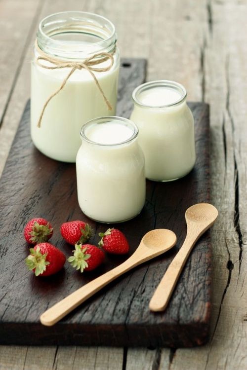 Les yaourts et les fromages fermentés | So Busy Girls