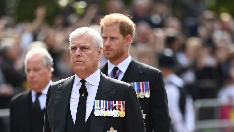 Le prince Harry aurait-il frappé le prince Andrew ? Ce que l’on sait vraiment sur cette rumeur explosive | So Busy Girls
