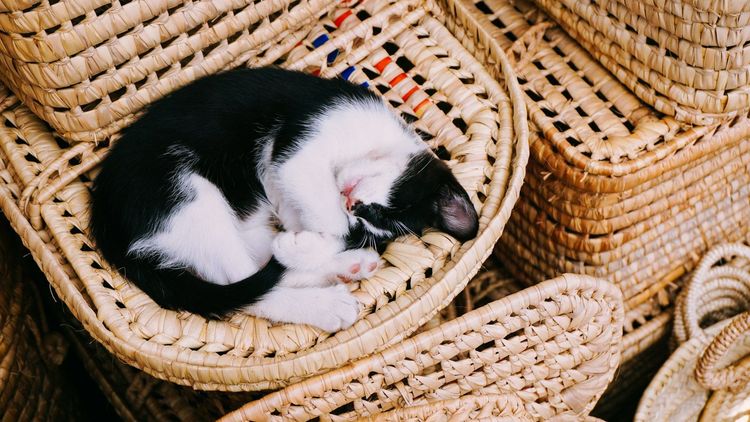 Astuce naturelle pour bien dormir