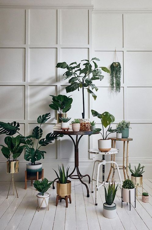 deco-vegetale-primark
