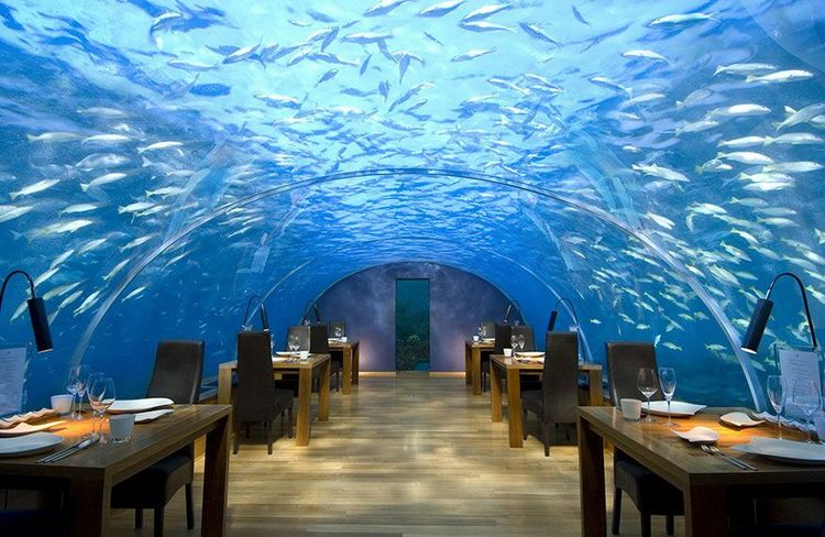 Dînez à cinq mètres sous la surface à l'Ithaa Undersea Restaurant, Alif Dhaal aux Maldives | So Busy Girls