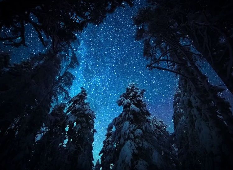 La Terre, La Nuit : 5 photos qui vont vous donner envie de regarder ce sublime docu Netflix | So Busy Girls