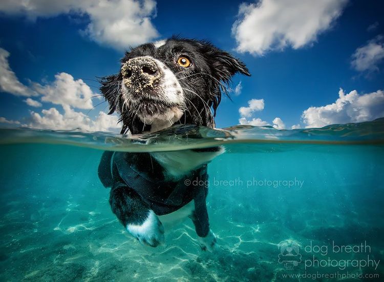 22 sublimes photos prises entre deux mondes | So Busy Girls