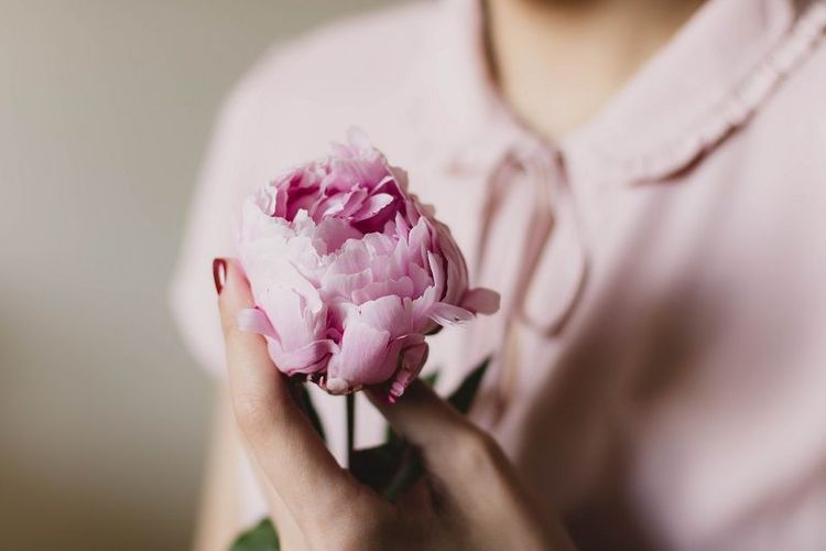 Comment faire pousser des bulbes à fleurs en France ? | So Busy Girls