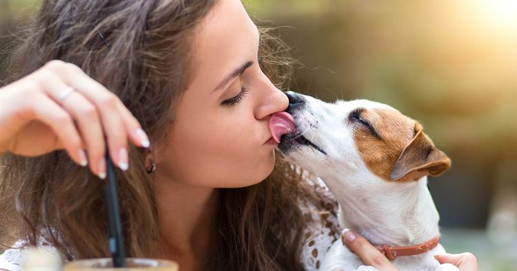 Embrasser son chien