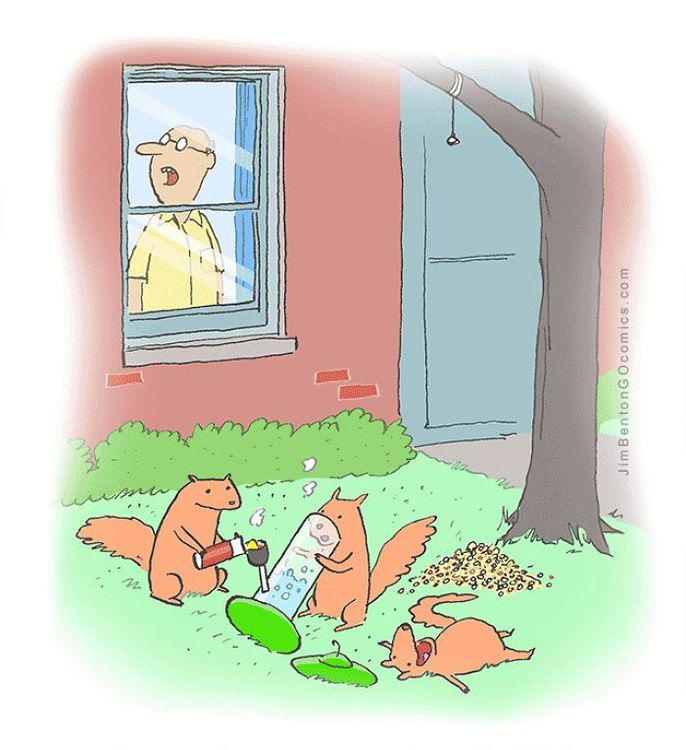 13 bandes dessinées amusantes sur les animaux | So Busy Girls