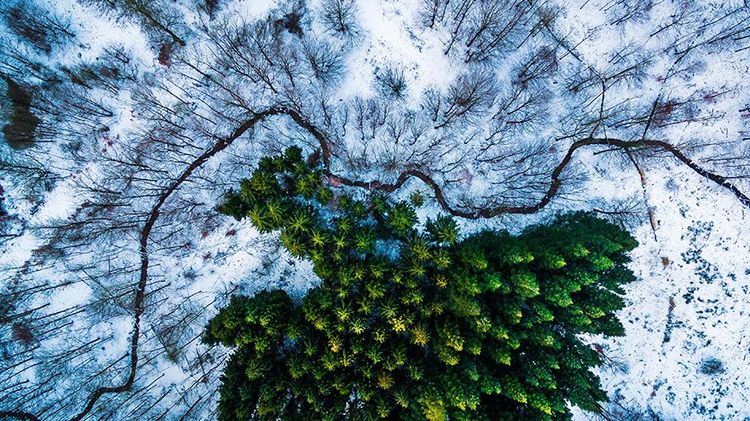 Les 15 plus belles photos prises depuis un drone | So Busy Girls