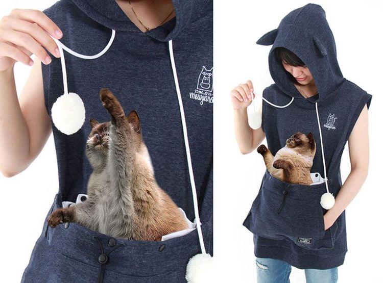 Des sweats poche kangourou qui vous permettent d'emmener votre chat partout avec vous | So Busy Girls