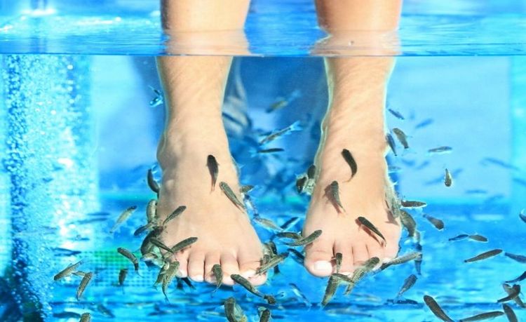 La Fish Manucure : soin écœurant ou vraiment novateur ? | So Busy Girls