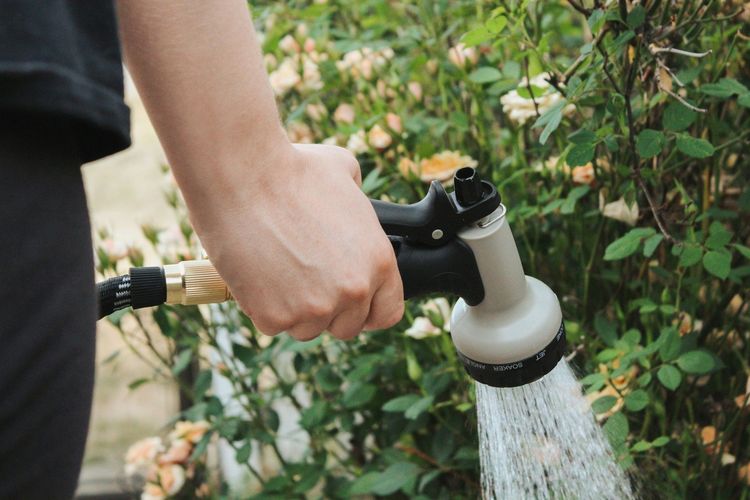 Arroser en été : le bon moment et les gestes qui évitent de gaspiller l’eau | So Busy Girls