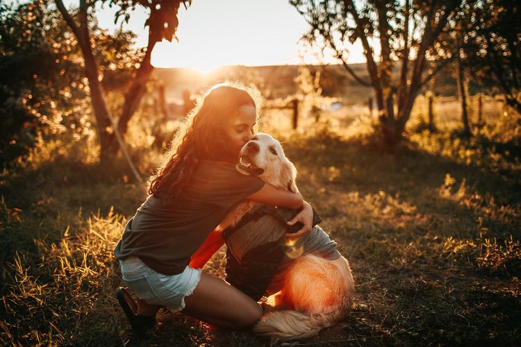 Chien et chat pendant la canicule : les erreurs à éviter absolument | So Busy Girls