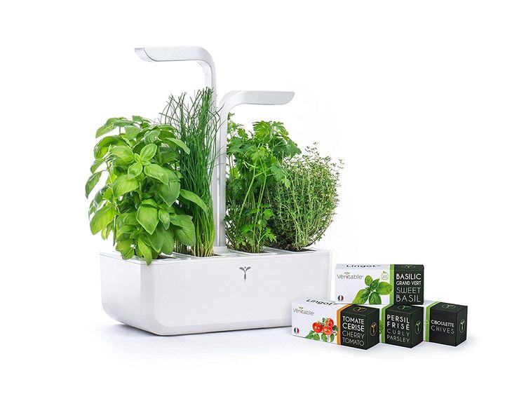 jardin-autonome-potager-interieur