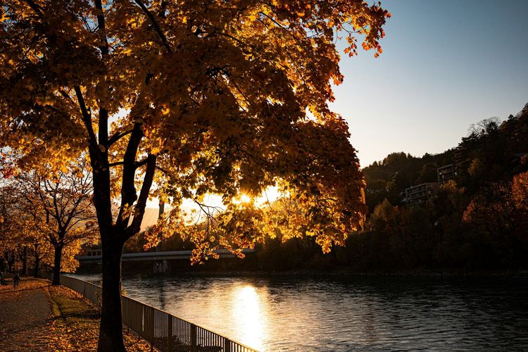 Automne météorologique : pourquoi l’automne commence dès ce 1er septembre alors que l’été n’est pas fini ? | So Busy Girls