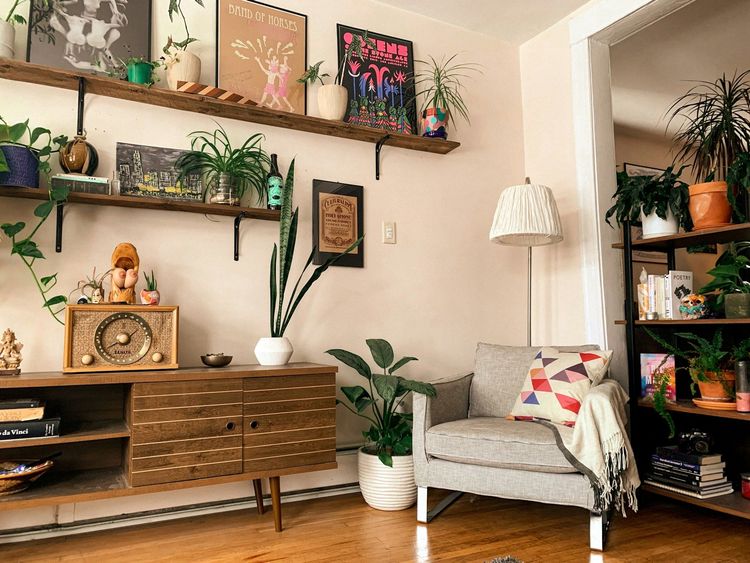 Plantes pendant les vacances : la méthode simple pour éviter de les retrouver desséchées | So Busy Girls