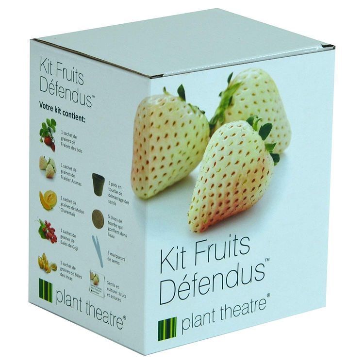 kit-fruits-defendus