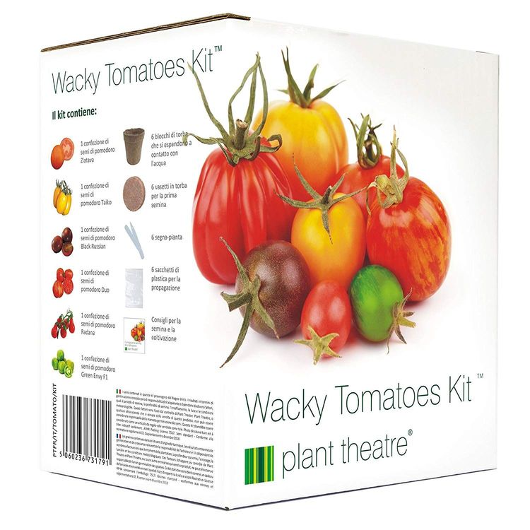 kit-tomates-farfelues