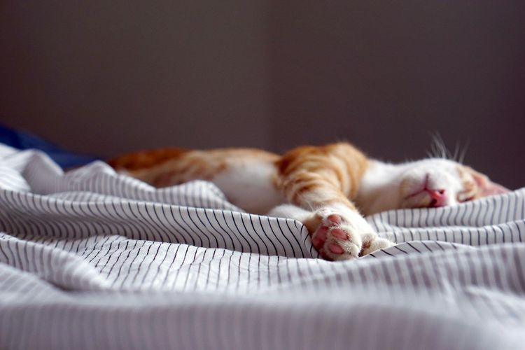 Routine du soir pour bien dormir.