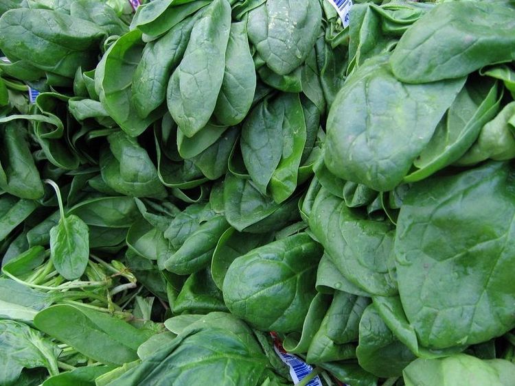 legumes-verts_1