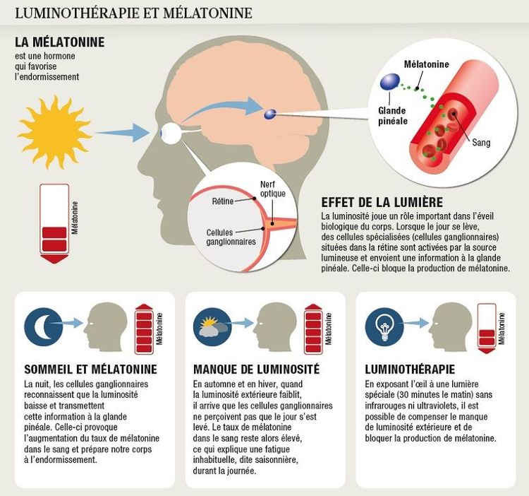 luminotherapie-schema