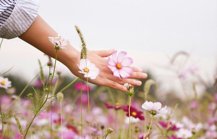 Comment avoir des mains douces ?