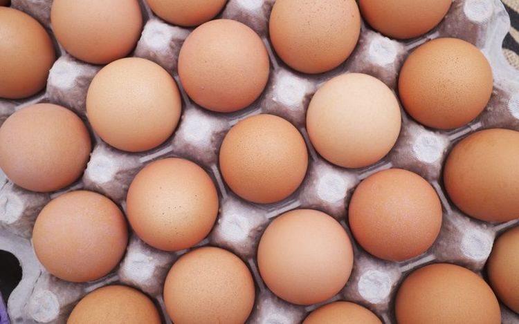 Manger un oeuf par jour : les bienfaits sur le corps