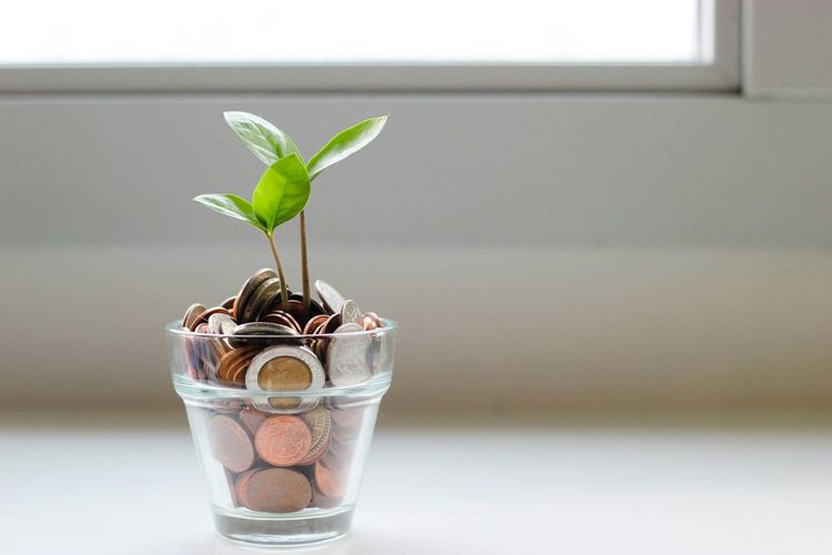 Comment faire des &eacute;conomies ? Les conseils efficaces.