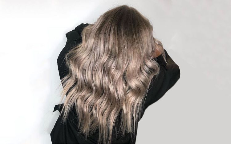 Coloration mushroom blond
