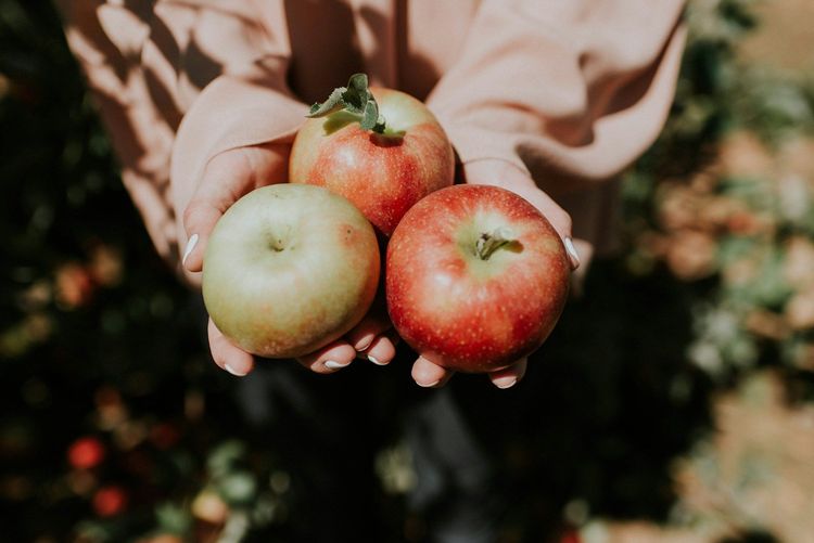 Comment maigrir en mangeant des pommes ? Les conseils.
